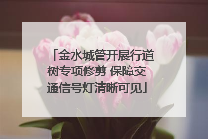 金水城管开展行道树专项修剪 保障交通信号灯清晰可见