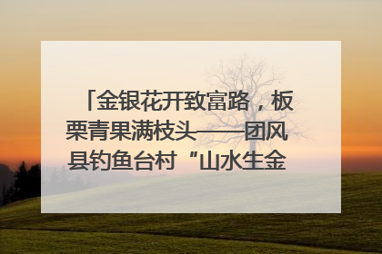 金银花开致富路，板栗青果满枝头——团风县钓鱼台村“山水生金”谱写共富新篇章