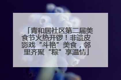 青和居社区第二届美食节火热开锣！非遗皮影戏“斗艳”美食，邻里齐聚“粽”享温情