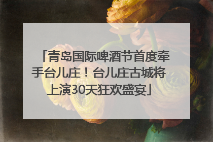 青岛国际啤酒节首度牵手台儿庄！台儿庄古城将上演30天狂欢盛宴