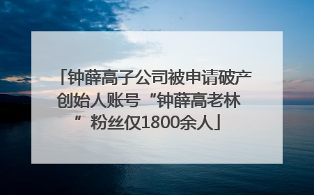 钟薛高子公司被申请破产 创始人账号“钟薛高老林”粉丝仅1800余人