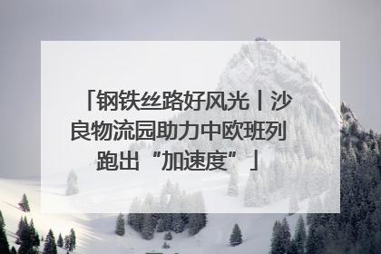 钢铁丝路好风光丨沙良物流园助力中欧班列跑出“加速度”