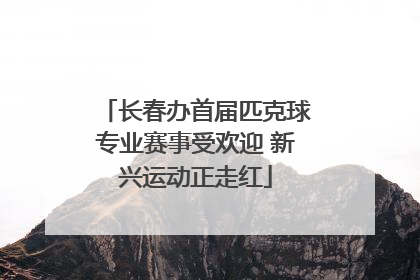 长春办首届匹克球专业赛事受欢迎 新兴运动正走红