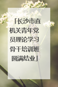 长沙市直机关青年党员理论学习骨干培训班圆满结业