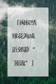 闽侯绣球花海成近郊游“顶流”
