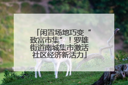 闲置场地巧变“致富市集”！罗雄街道南城集市激活社区经济新活力