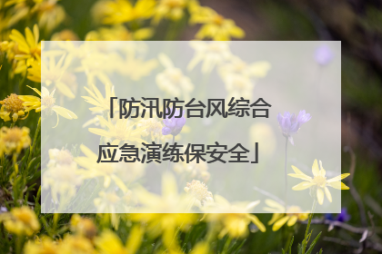 防汛防台风综合应急演练保安全