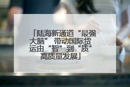 陆海新通道“最强大脑” 带动国际货运由“智”到“质”高质量发展