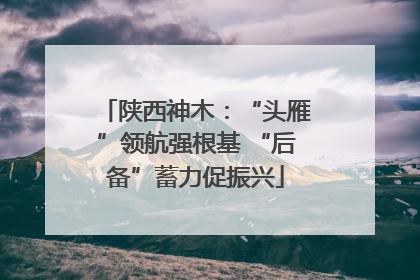 陕西神木：“头雁”领航强根基 “后备”蓄力促振兴