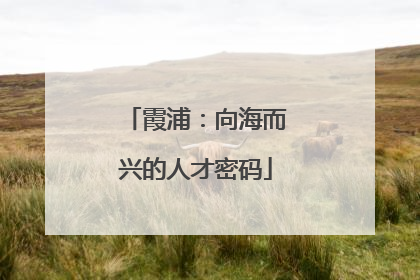 霞浦：向海而兴的人才密码