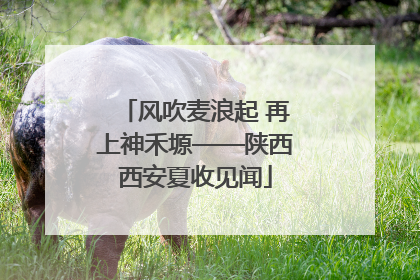 风吹麦浪起 再上神禾塬——陕西西安夏收见闻
