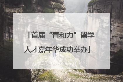 首届“青和力”留学人才嘉年华成功举办