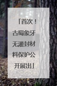 首次！古蜀象牙无灌封材料保护公开展出