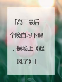 高三最后一个晚自习下课，操场上《起风了》