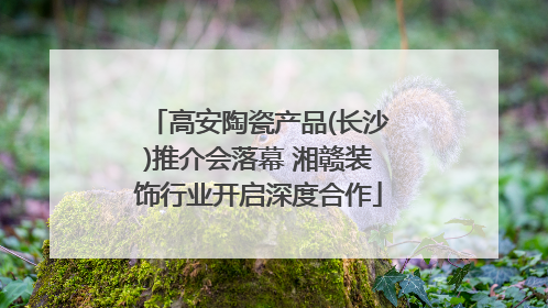 高安陶瓷产品(长沙)推介会落幕 湘赣装饰行业开启深度合作
