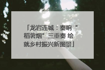 龙岩连城：奏响“稻薯烟”三重奏 绘就乡村振兴新图景