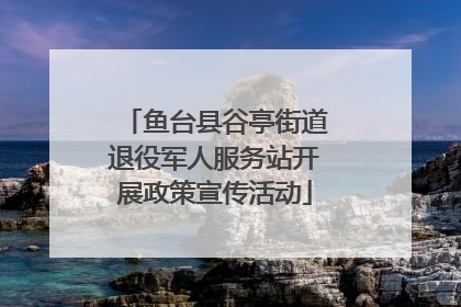 鱼台县谷亭街道退役军人服务站开展政策宣传活动