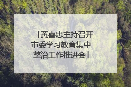 黄喜忠主持召开市委学习教育集中整治工作推进会