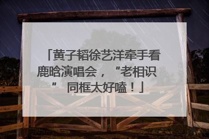黄子韬徐艺洋牵手看鹿晗演唱会，“老相识” 同框太好嗑！