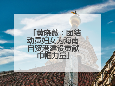黄晓薇：团结动员妇女为海南自贸港建设贡献巾帼力量