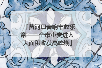 黄河口奏响丰收乐章——全市小麦进入大面积收获高峰期
