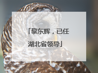黎东辉，已任湖北省领导