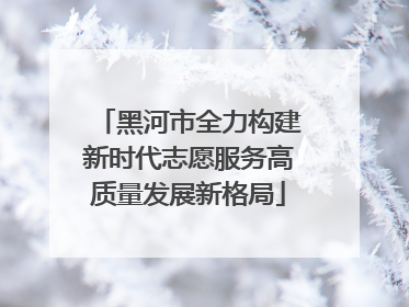 黑河市全力构建新时代志愿服务高质量发展新格局