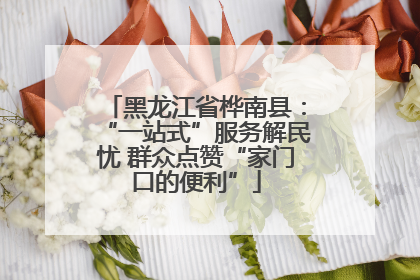 黑龙江省桦南县：“一站式”服务解民忧 群众点赞“家门口的便利”