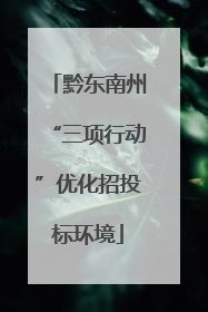 黔东南州“三项行动”优化招投标环境