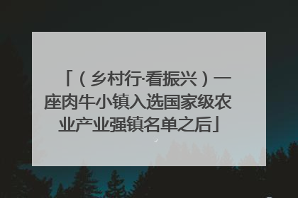 （乡村行·看振兴）一座肉牛小镇入选国家级农业产业强镇名单之后