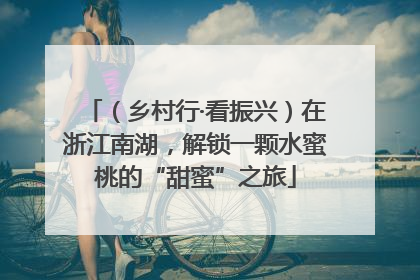 （乡村行·看振兴）在浙江南湖，解锁一颗水蜜桃的“甜蜜”之旅