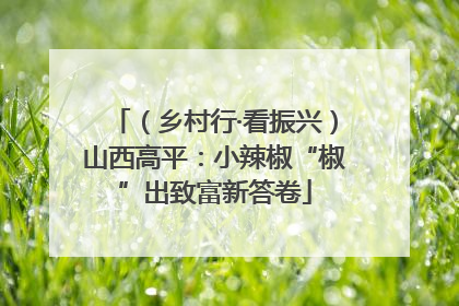 （乡村行·看振兴）山西高平：小辣椒“椒”出致富新答卷