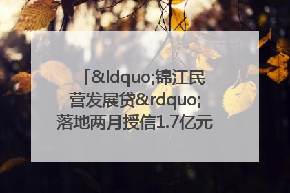 “锦江民营发展贷”落地两月授信1.7亿元，惠及118家民企