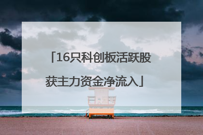 16只科创板活跃股获主力资金净流入