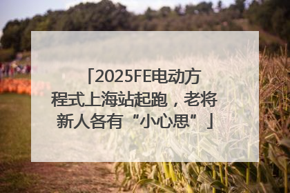 2025FE电动方程式上海站起跑，老将新人各有“小心思”
