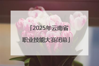 2025年云南省职业技能大赛闭幕