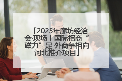 2025年廊坊经洽会·现场丨国际招商“磁力”足 外商争相向河北推介项目