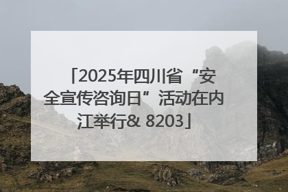 2025年四川省“安全宣传咨询日”活动在内江举行& 8203