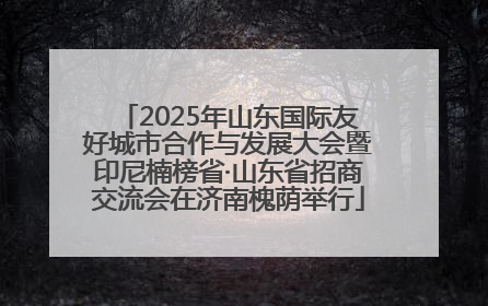 2025年山东国际友好城市合作与发展大会暨印尼楠榜省·山东省招商交流会在济南槐荫举行