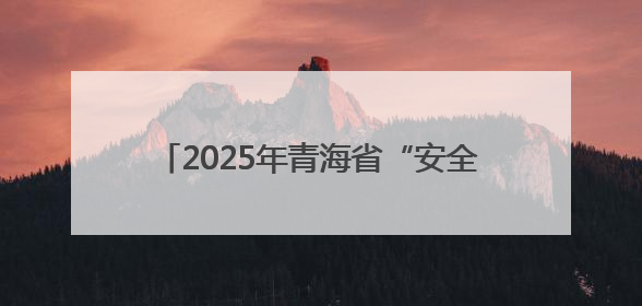 2025年青海省“安全宣传咨询日”活动举行