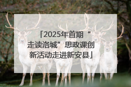 2025年首期“走读洛城”思政课创新活动走进新安县