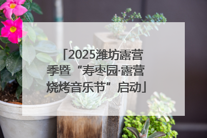 2025潍坊露营季暨“寿枣园·露营烧烤音乐节”启动