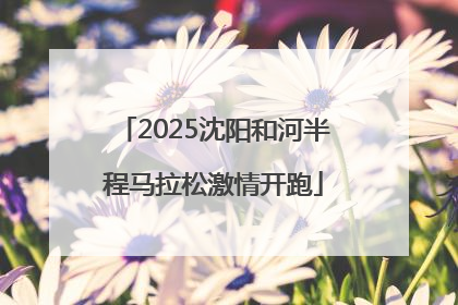 2025沈阳和河半程马拉松激情开跑