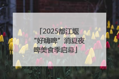 2025都江堰“好嗨啤”消夏夜啤美食季启幕