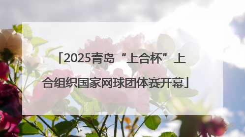 2025青岛“上合杯”上合组织国家网球团体赛开幕