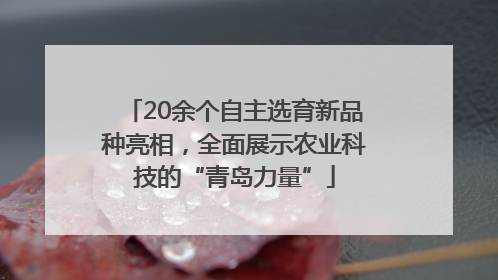 20余个自主选育新品种亮相，全面展示农业科技的“青岛力量”