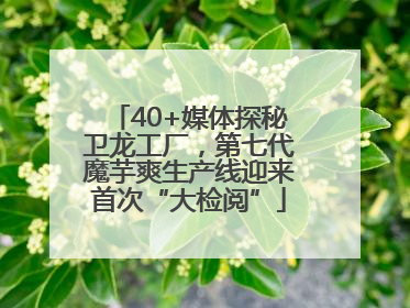 40+媒体探秘卫龙工厂，第七代魔芋爽生产线迎来首次“大检阅”