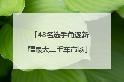 48名选手角逐新疆最大二手车市场