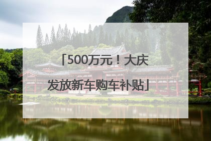 500万元！大庆发放新车购车补贴