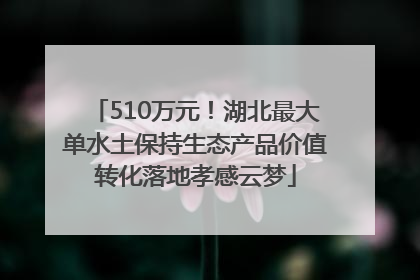 510万元！湖北最大单水土保持生态产品价值转化落地孝感云梦